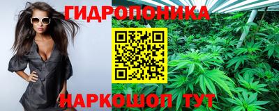 крисы Комсомольск-на-Амуре