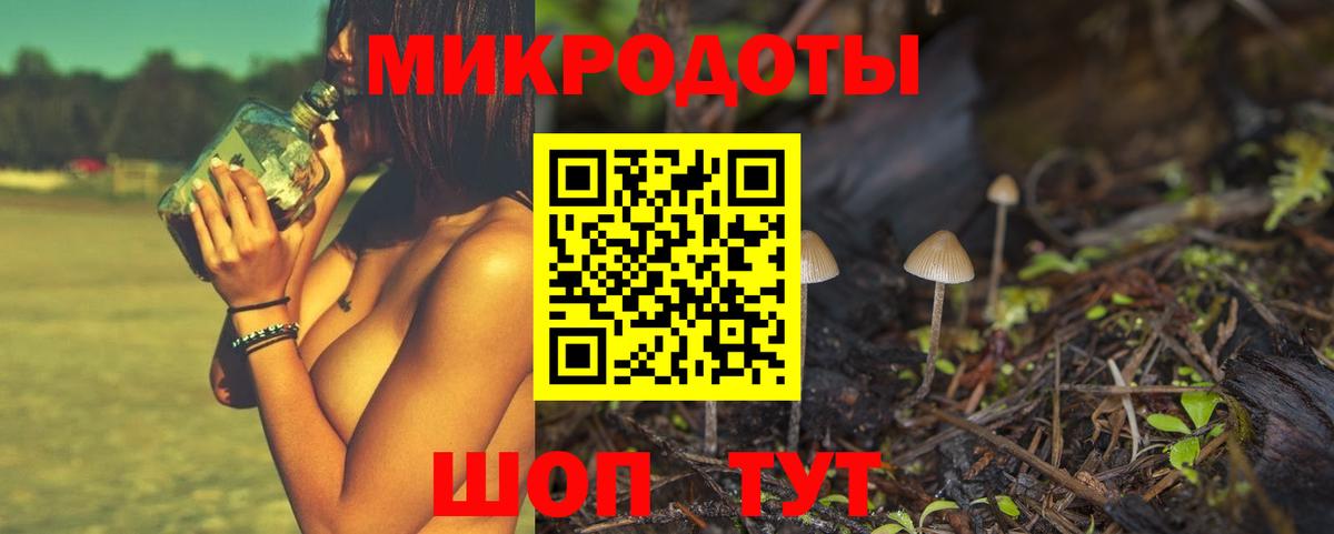 Псилоцибиновые грибы Красногорск